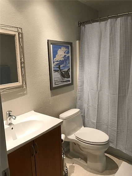 Guest bathroom, tub and shower