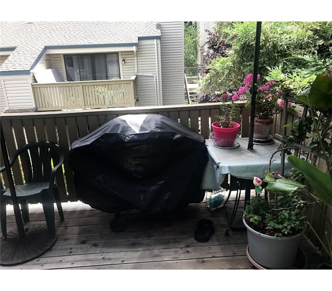Furnished Finder property 230371_1 photo 12