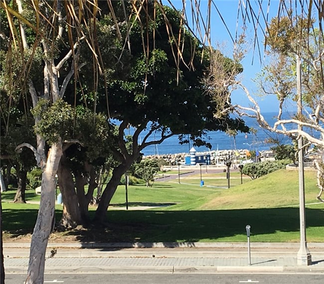 View from Patio