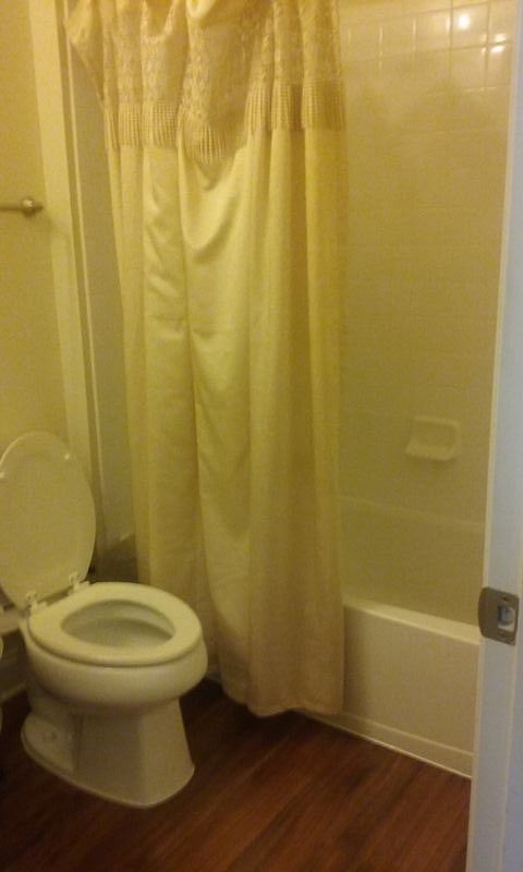 Furnished Finder property 230515_2 photo 9