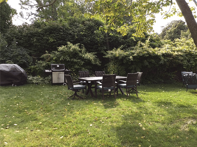 Side yard