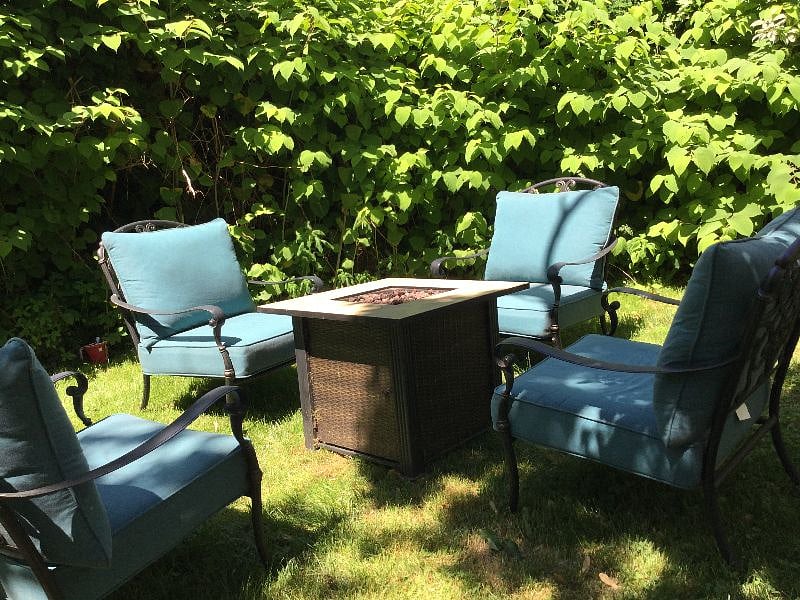 Furnished Finder property 231154_2 photo 23