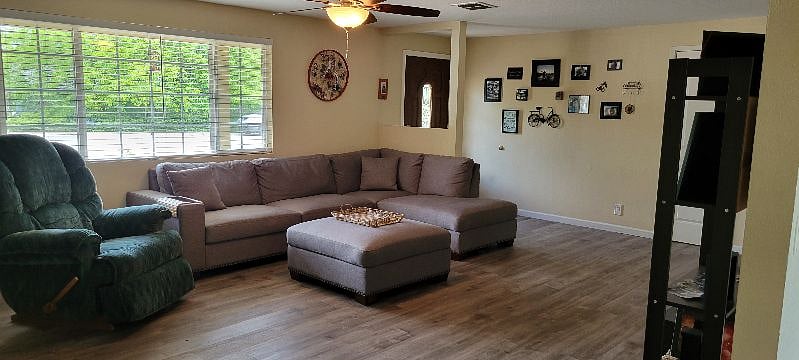 Furnished Finder property 231182_1 photo 10