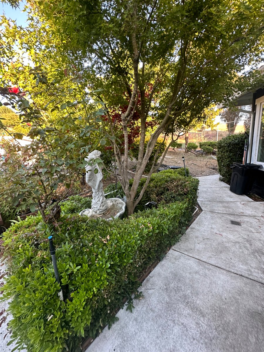 Furnished Finder property 231283_3 photo 28