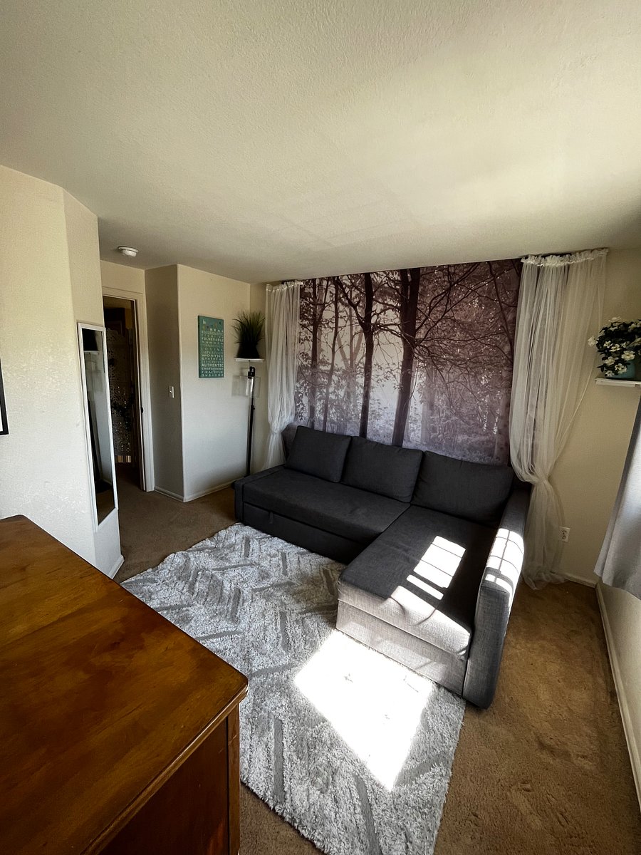 Furnished Finder property 231340_3 photo 4