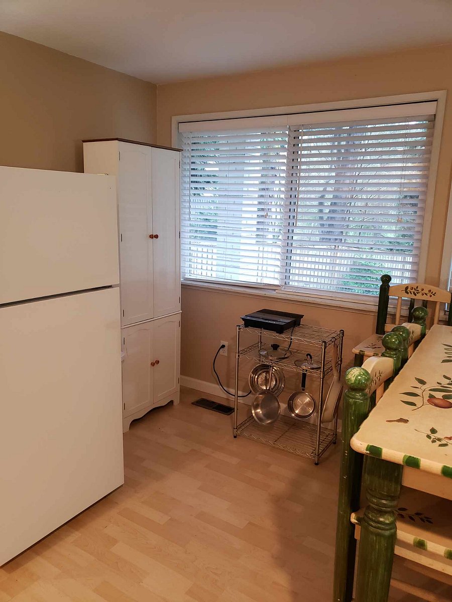 Kitchen area with Induction hot plate