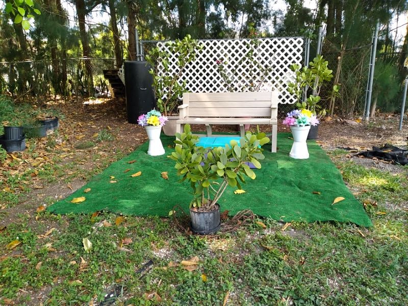 Furnished Finder property 231542_1 photo 28
