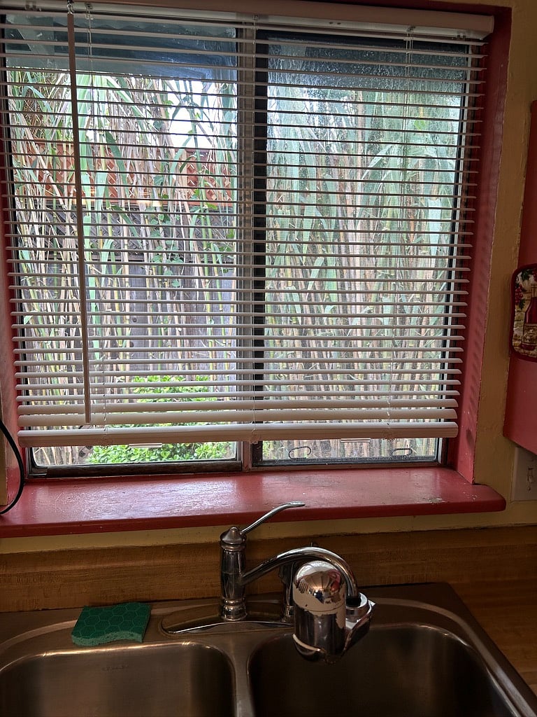Furnished Finder property 231606_1 photo 35
