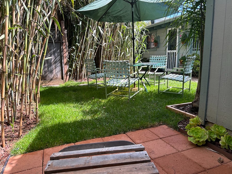 Furnished Finder property 231606_1 photo 42