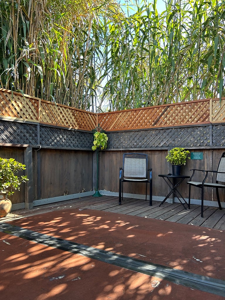 Furnished Finder property 231606_1 photo 65