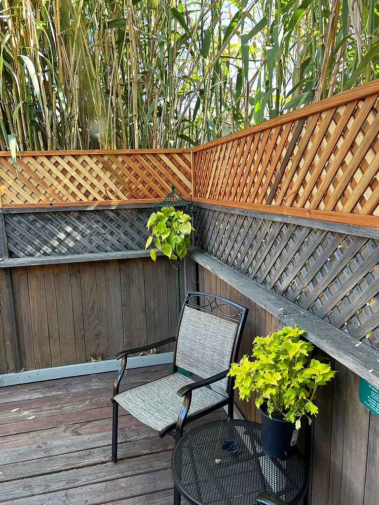 Furnished Finder property 231606_1 photo 73