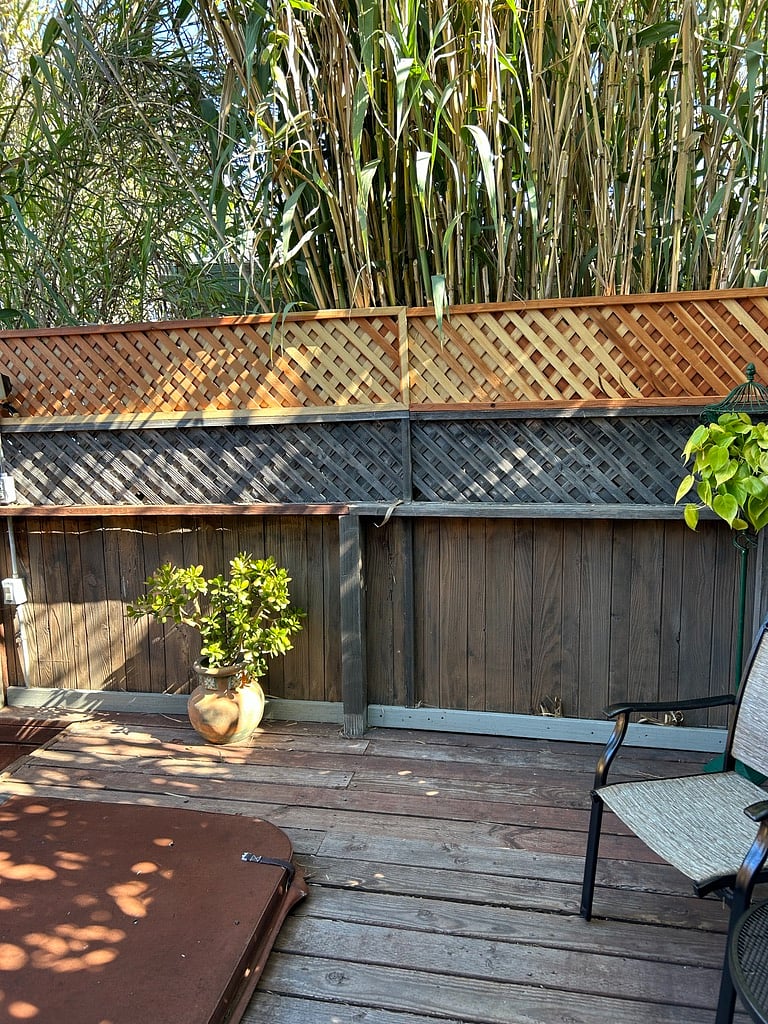 Furnished Finder property 231606_1 photo 74