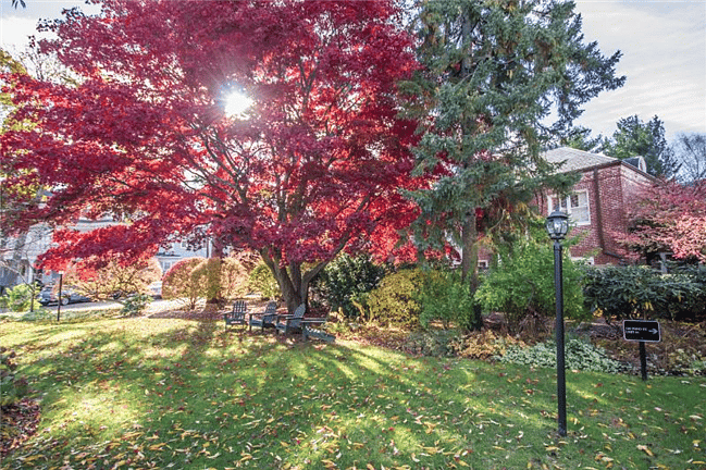 Front Yard