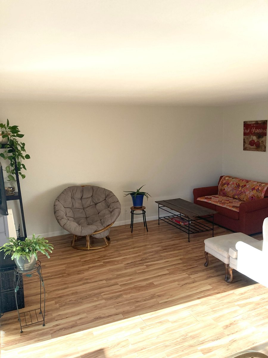 Furnished Finder property 231628_1 photo 5