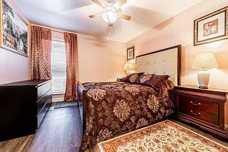 Furnished Finder property 231680_1 photo 15