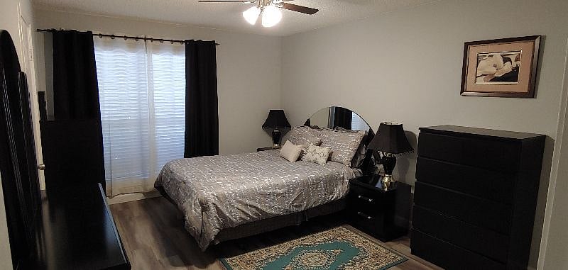 Furnished Finder property 231681_2 photo 12