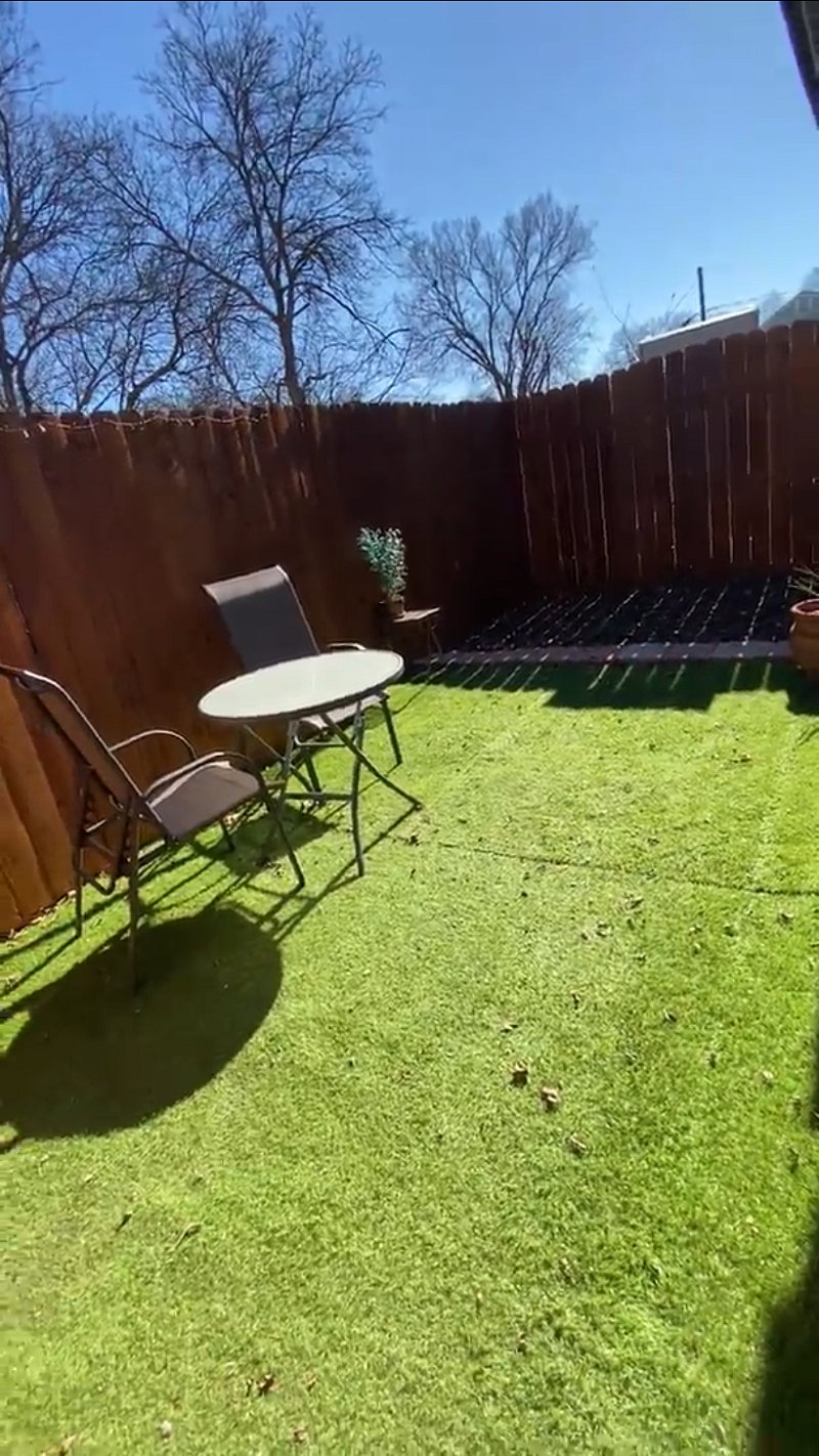 Apt B back yard