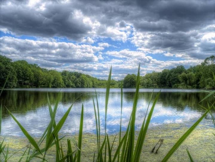 Summer skies on Paper Goods Pond.