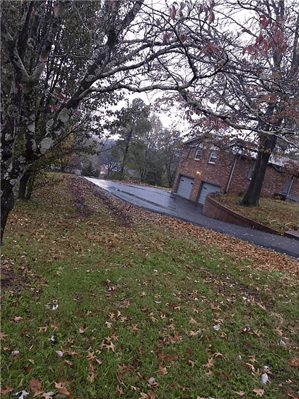 Plenty of Parking