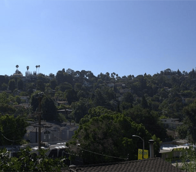 View of hillside from top of property