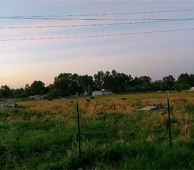 View from back patio