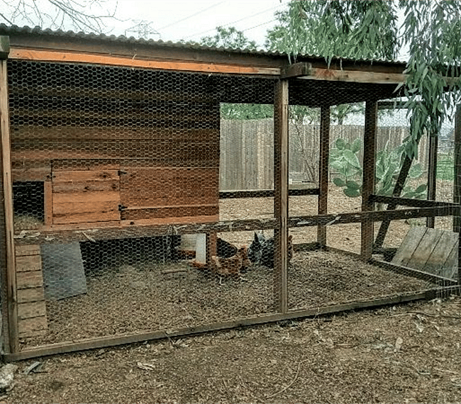 Our chicken coop