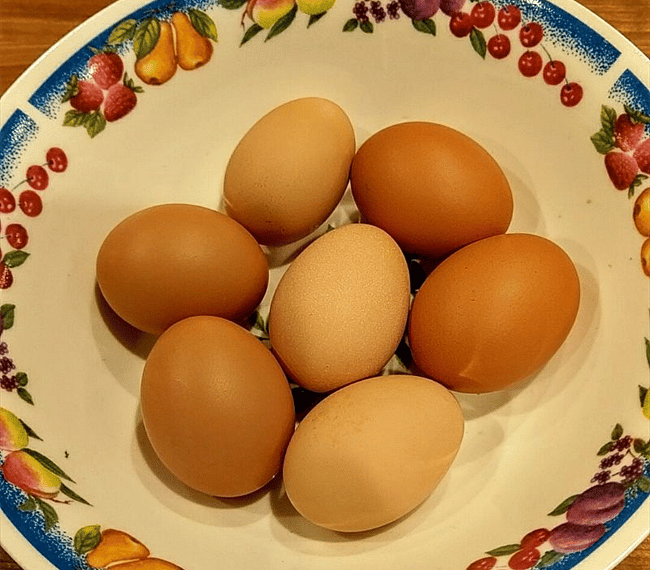 Fresh organic eggs
