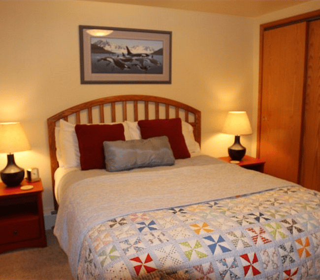 Bedroom has a queen bed and large closet and built in dresser.