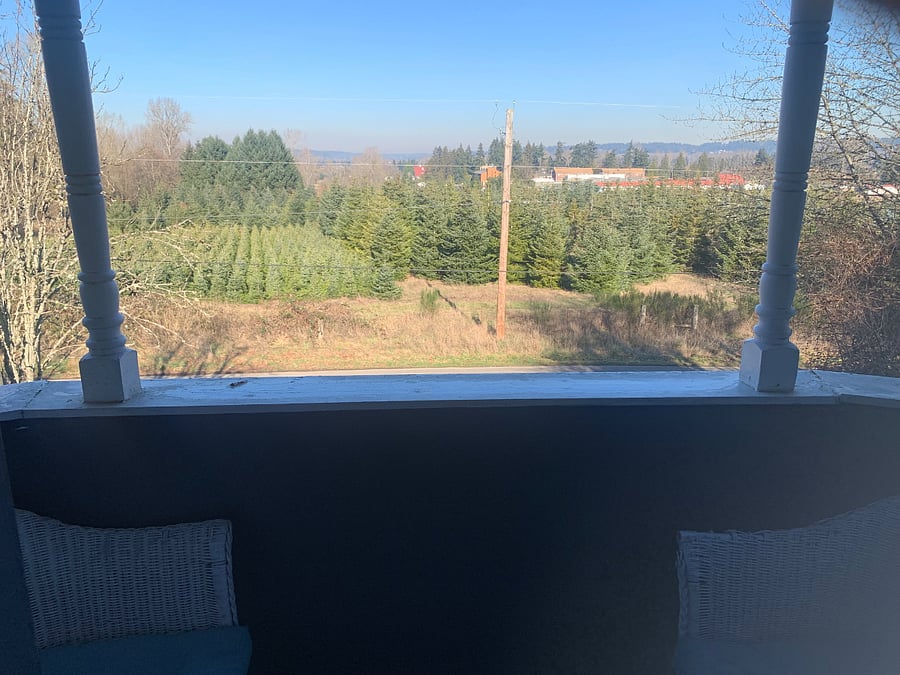 Furnished Finder property 232947_2 photo 19