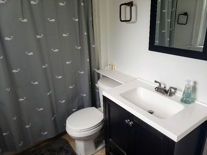 Furnished Finder property 233074_1 photo 15