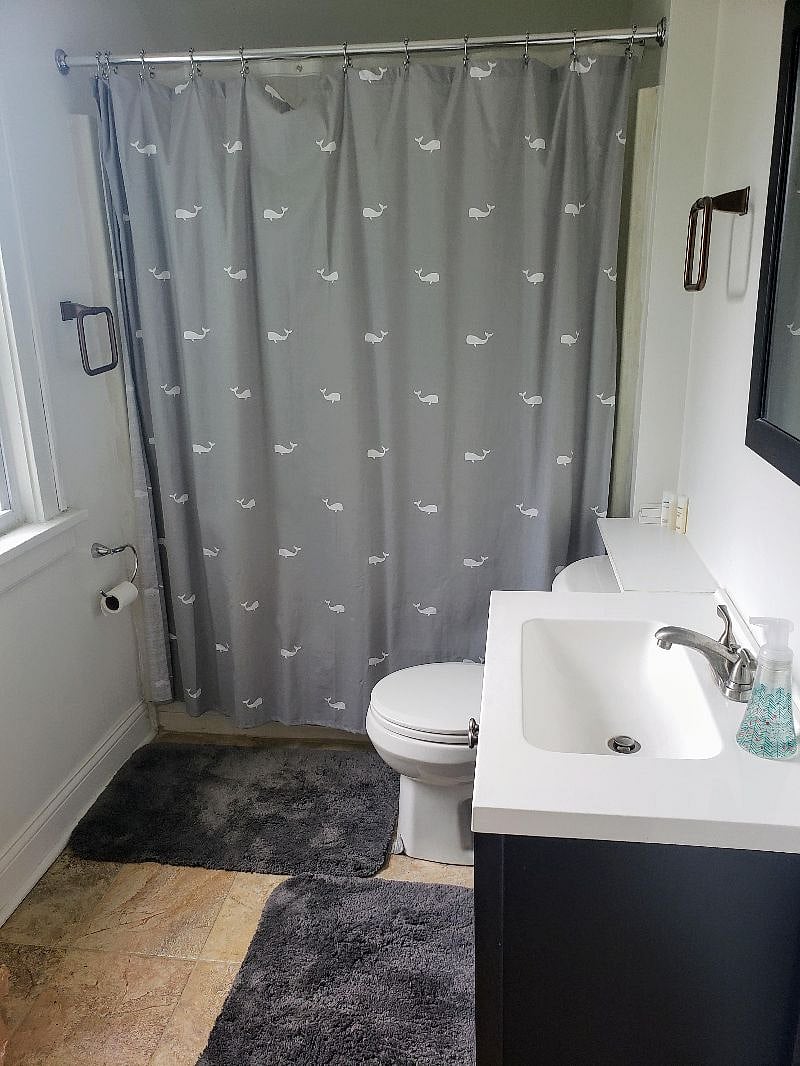 Furnished Finder property 233074_1 photo 16