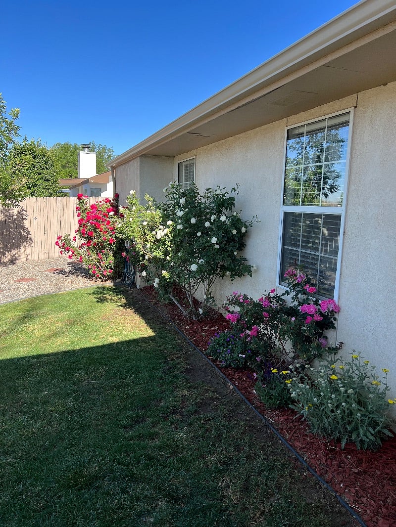 Furnished Finder property 233358_1 photo 20
