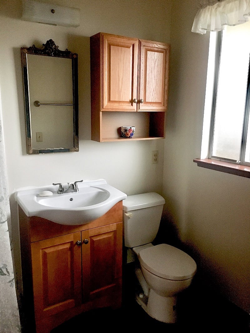 Downstairs bath with shower