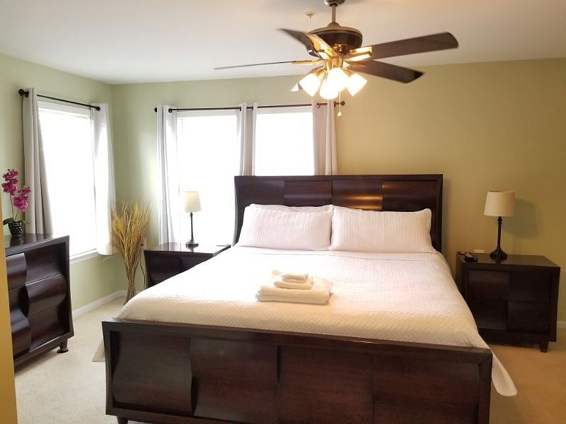 Furnished Finder property 233403_1 photo 4