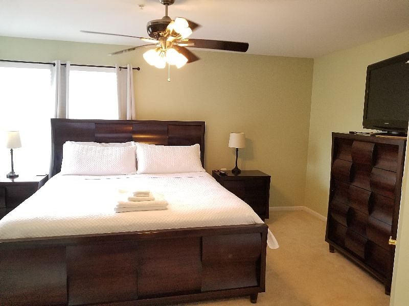 Furnished Finder property 233403_1 photo 5