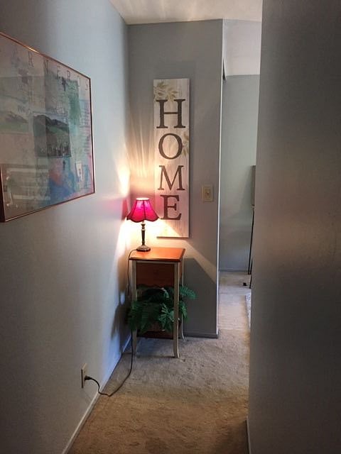 Furnished Finder property 233421_1 photo 4