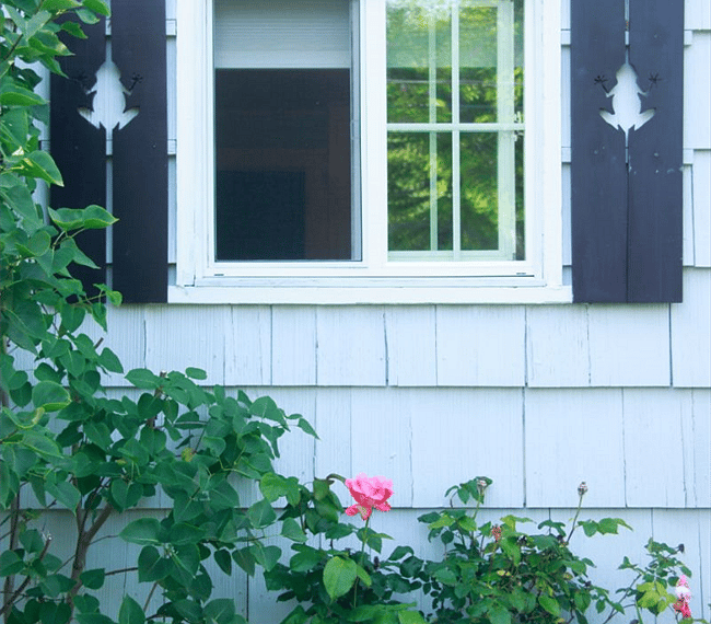 The shutters have silhouettes of different animals: these are of frogs, others are butterfly, firefly and raccoon.