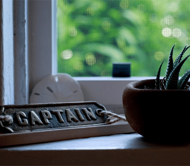 Captain approved artful details.