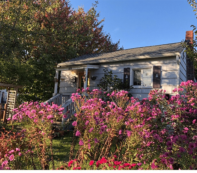 Cottage in springtime.