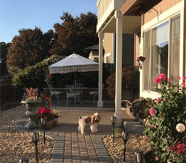 Furnished Finder property 233570_1 photo 4