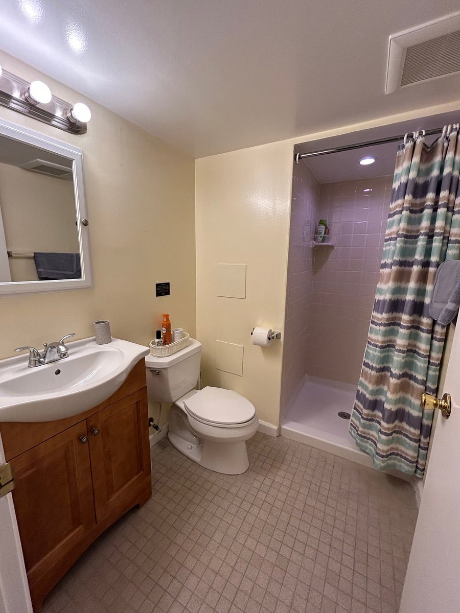 Furnished Finder property 233728_1 photo 19