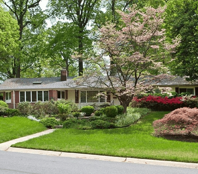 Front of the house