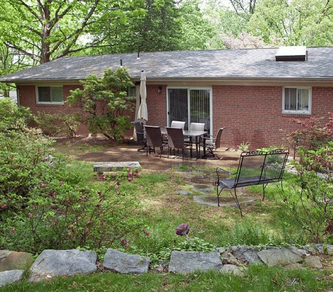 back yard