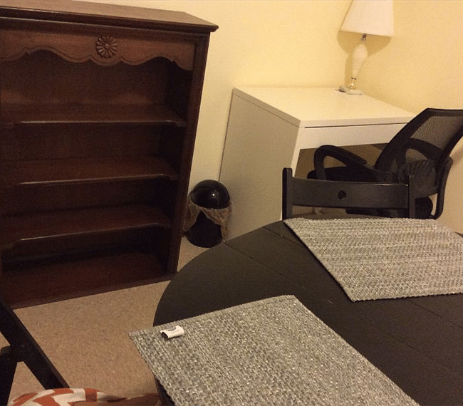 The Den: can be used as study rm as well a dining rm