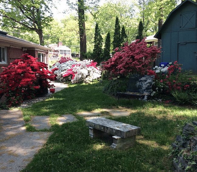 More backyard in the Spring time