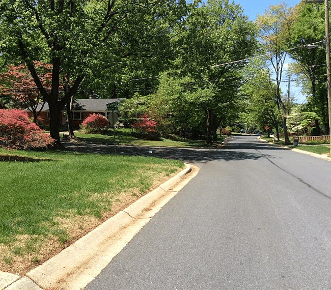  My neighborhood in the Spring time