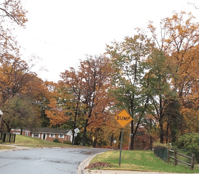  Fall: Neighborhood