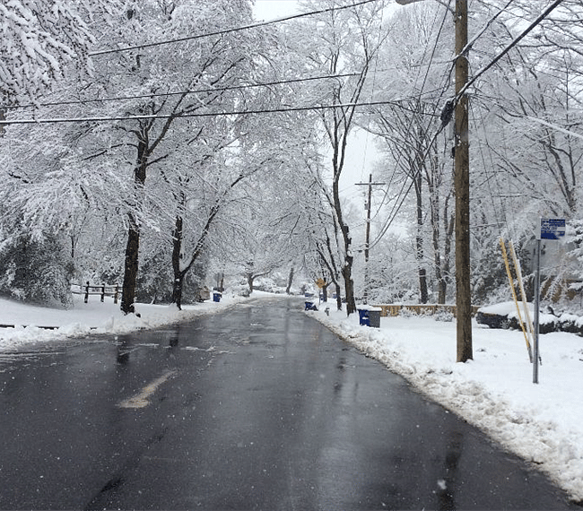  Winter: My Street, neighborhood: