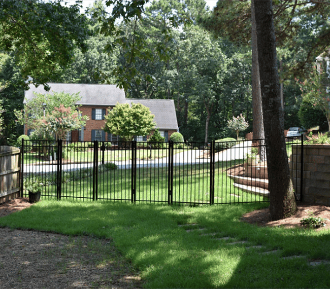 Backyard and entrance