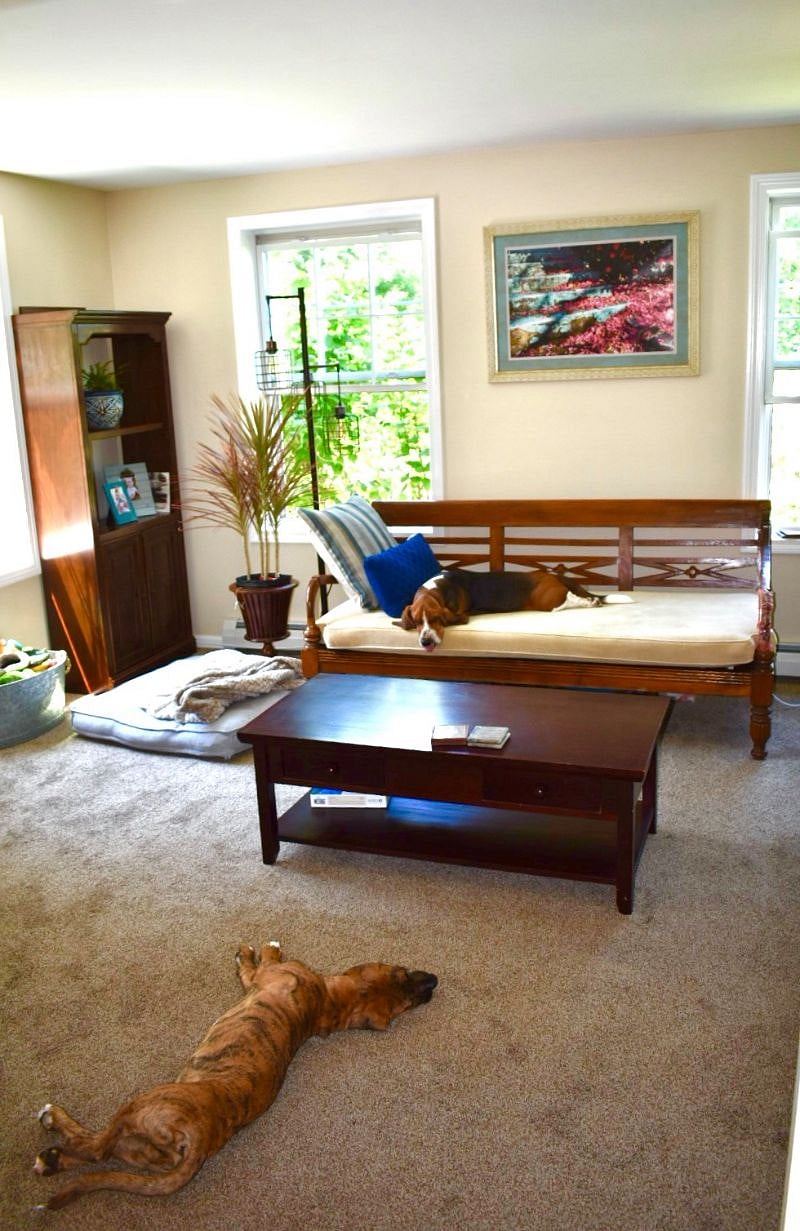 Furnished Finder property 233808_1 photo 11